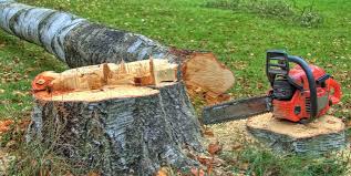 Best Emergency Tree Removal  in Rolesville, NC
